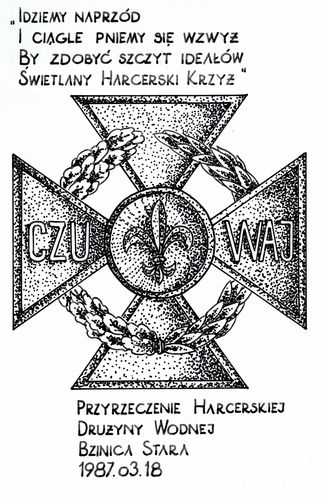 harcerzebzinica2017ty23456